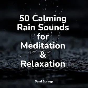 50 Calming Rain Sounds for Meditation & Relaxation by Sonidos De Truenos y Lluvia