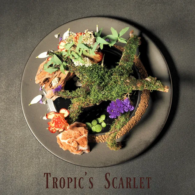 Tropic's Scarlet