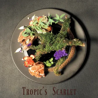 Tropic's Scarlet by A.C Quattro