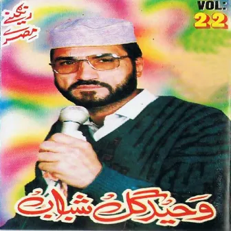 Rangeenai Tappay, Vol. 22 by Waheed Gul