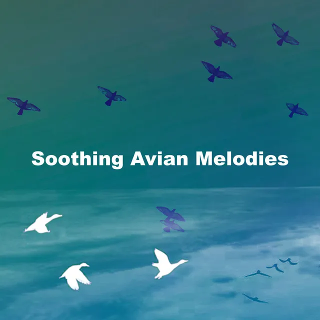 Soothing Avian Melodies