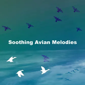 Soothing Avian Melodies by Unknown Artist