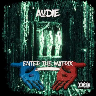 Enter the Matrix by Audie