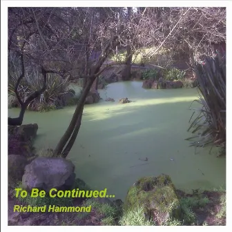 To Be Continued... by Richard Hammond