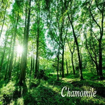 chamomile by Chamomile