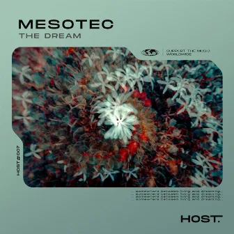 The Dream by Mesotec