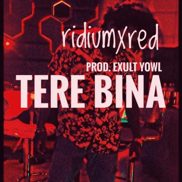 Tere Bina