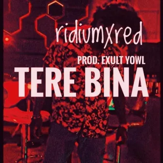 Tere Bina by Exult Yowl