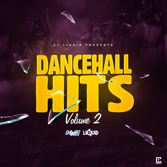 Dancehall Hits, Vol. 2