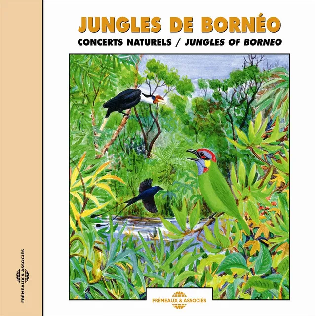 Jungles de Borneo (Concerts naturels)