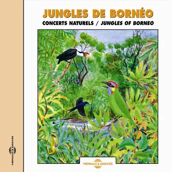 Jungles de Borneo (Concerts naturels) by Frémeaux Nature