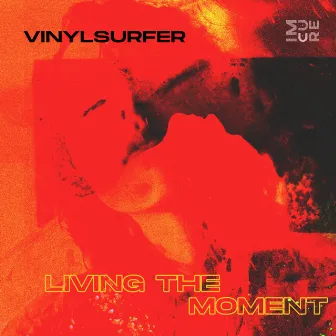 Living the Moment by Vinylsurfer