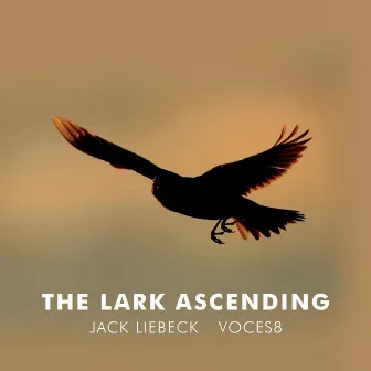 The Lark Ascending (Arr. for violin and choir by Paul Drayton) by Jack Liebeck