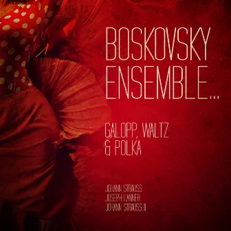 Boskovsky Ensemble... Galopp, Waltz & Polka by The Boskovsky Ensemble