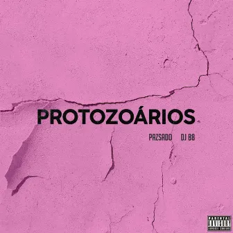 Protozoários by PaZSado