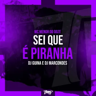 Sei que é piranha by DJ Marcondes