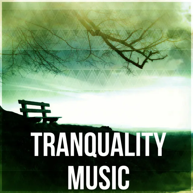 Tranquality Music - Sentimental Journey with Sounds of Nature, Massage, Reiki, Luxury Spa, Healing Through Sound and Touch