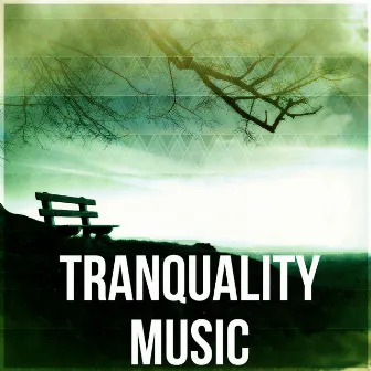 Tranquality Music - Sentimental Journey with Sounds of Nature, Massage, Reiki, Luxury Spa, Healing Through Sound and Touch by Natural Sleep Aid Ensemble