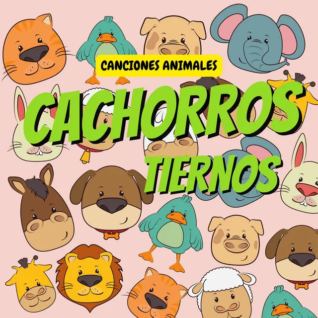 Cachorros Tiernos