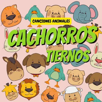 Cachorros Tiernos by Canciones Animales