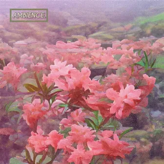 AMBIENCE. by Alvie.