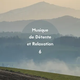 Musique de détente et relaxation, Vol. 6 by Les Voies de la Relaxation