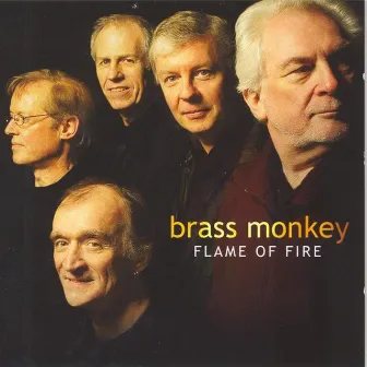 Flame of Fire by Brass Monkey