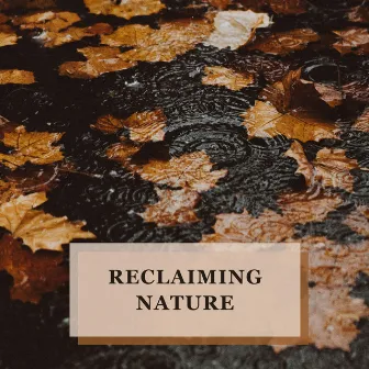 Autumn Whispers by Reclaiming Nature