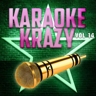 Karaoke Krazy, Vol .14 by The Karaoke Machine