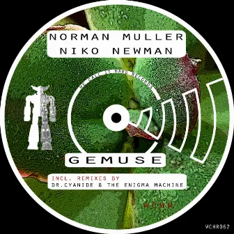 Gemuse by Norman Müller