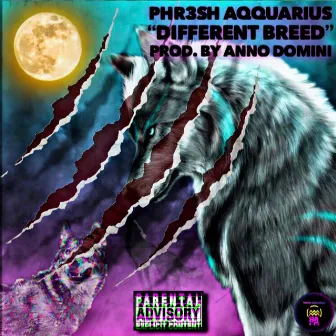 Different Breed by Phr3sh Aqquarius