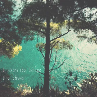 The Diver by Tristan De Liege