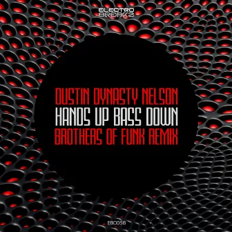 Hands Up Bass Down by Dustin Dynasty Nelson