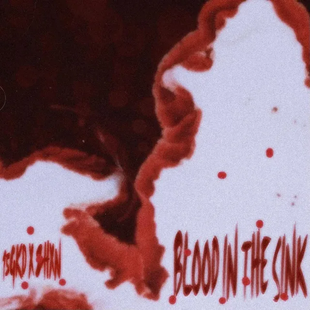 Blood In The Sink