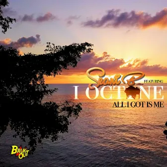 All I Got Is Me by Seani B