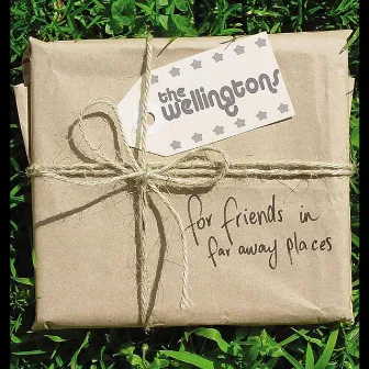 For Friends In Far Away Places by The Wellingtons