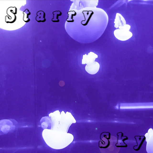 Starry Sky (Sunset B-Sides)