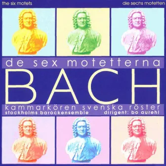 Bach: The 6 Motets by Bo Aurehl