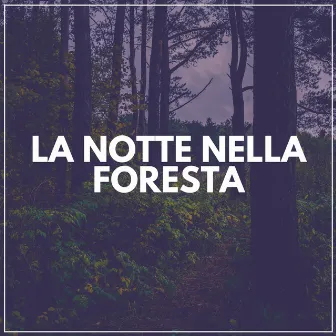 La Notte Nella Foresta by Suoni Naturali