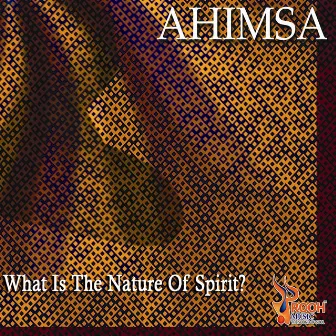 Ahimsa What Is the Nature of Spirit by Matthias Müller