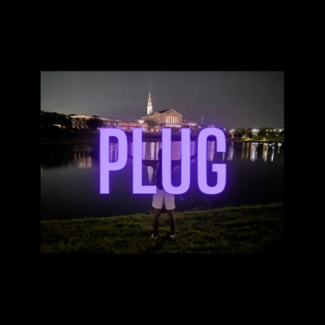 Plug