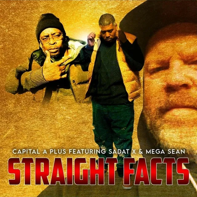 Straight Facts - Radio Edit