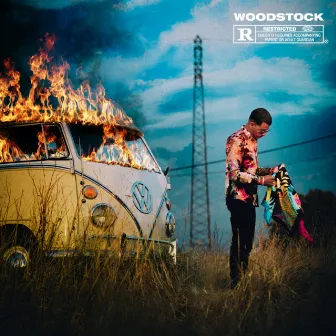 Woodstock by Hooss