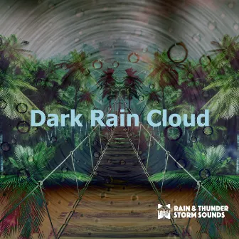 Dark Rain Cloud by Rain & Thunder Storm Sounds