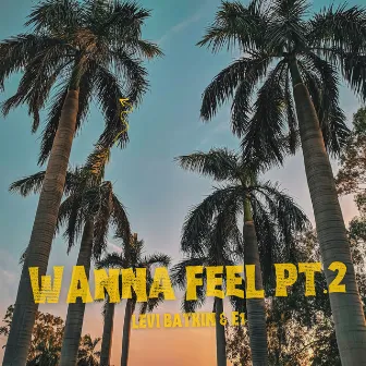 Wanna Feel, Pt. 2 by E1