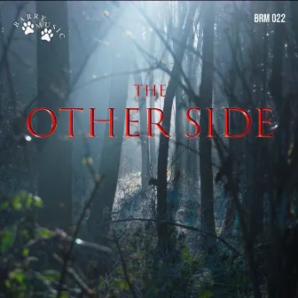 The Other Side by Dario Miranda