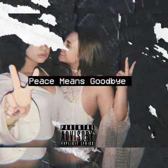 Peace Means Goodbye by OneWaytb