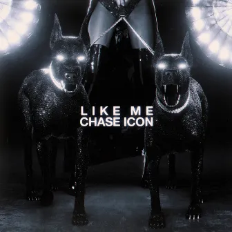 Like Me by Chase Icon