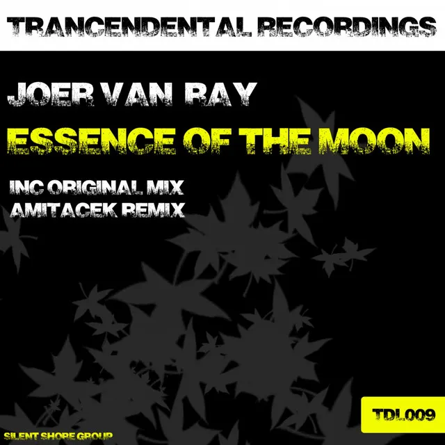 Essence Of The Moon - Amitacek Remix