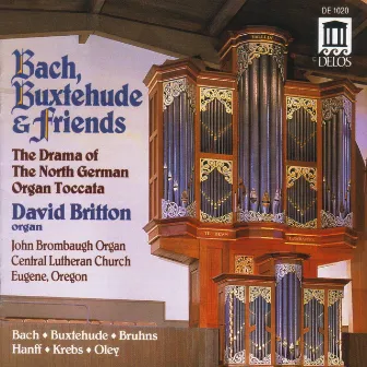 Organ Music - Buxtehude, D. / Krebs, J. / Oley, J. / Hanff, J. / Bruhns, N. by David Britton